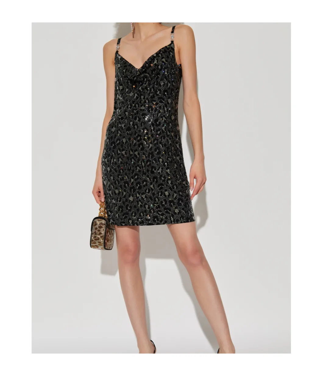 Leopard Printed Embellished Mini Dress