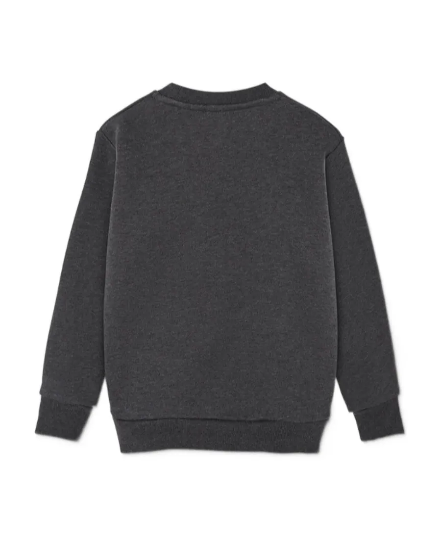 Logo-Appliqué Crewneck Sweatshirt