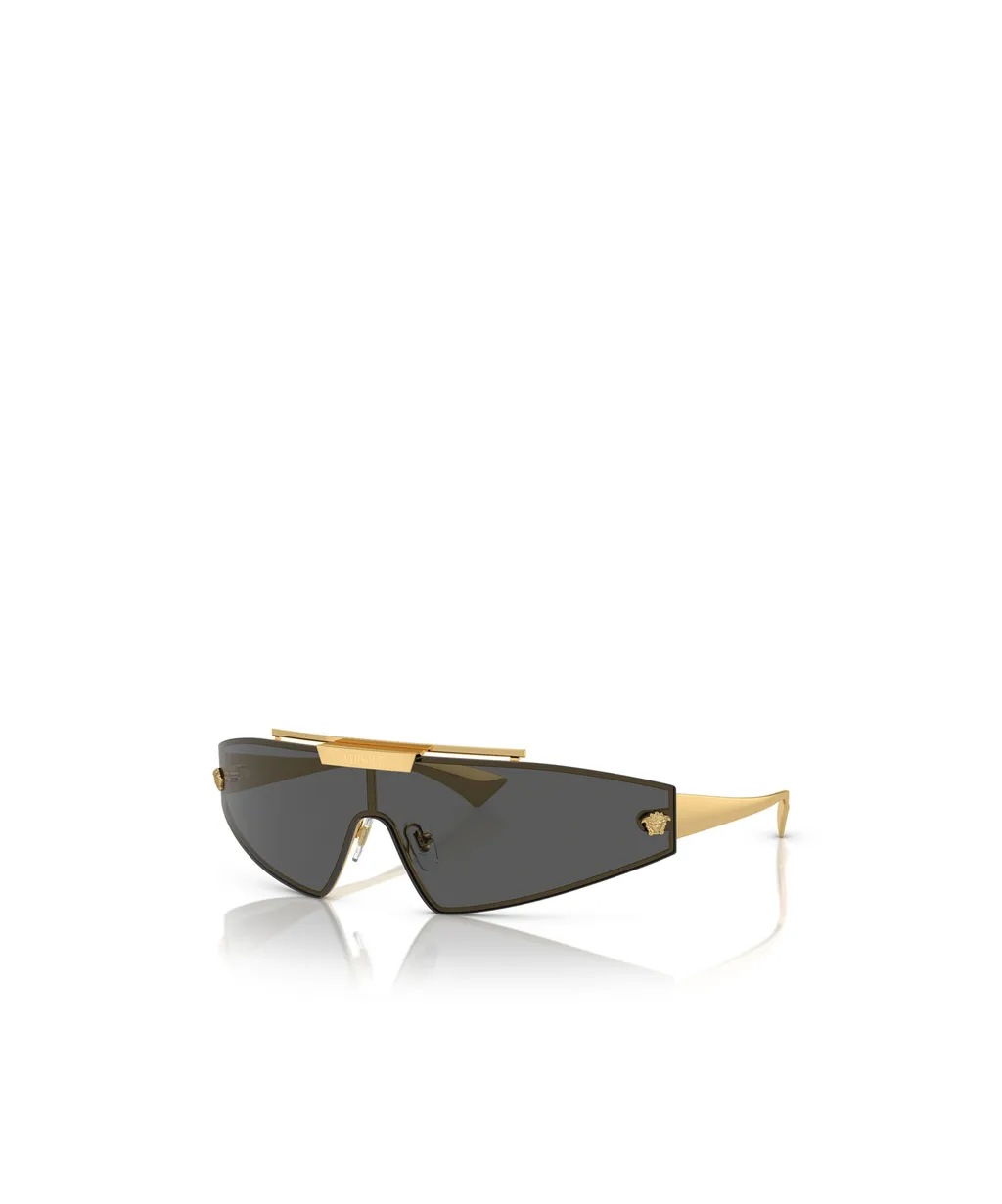 Oversize-Frame Sunglasses