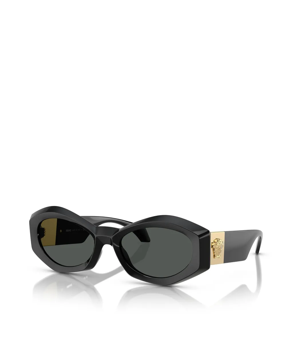 Full Frame Sunglasses