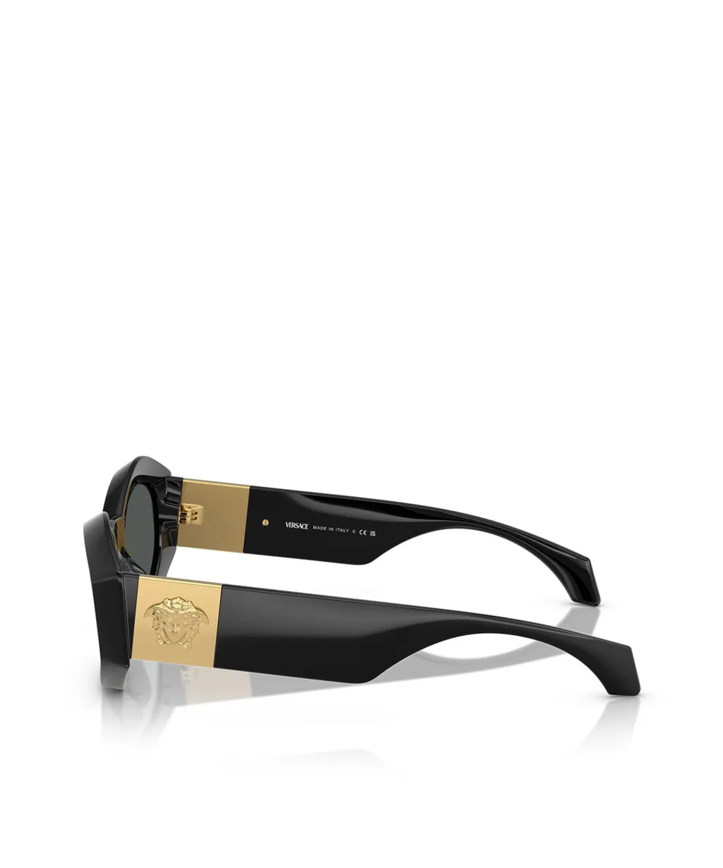 Full Frame Sunglasses
