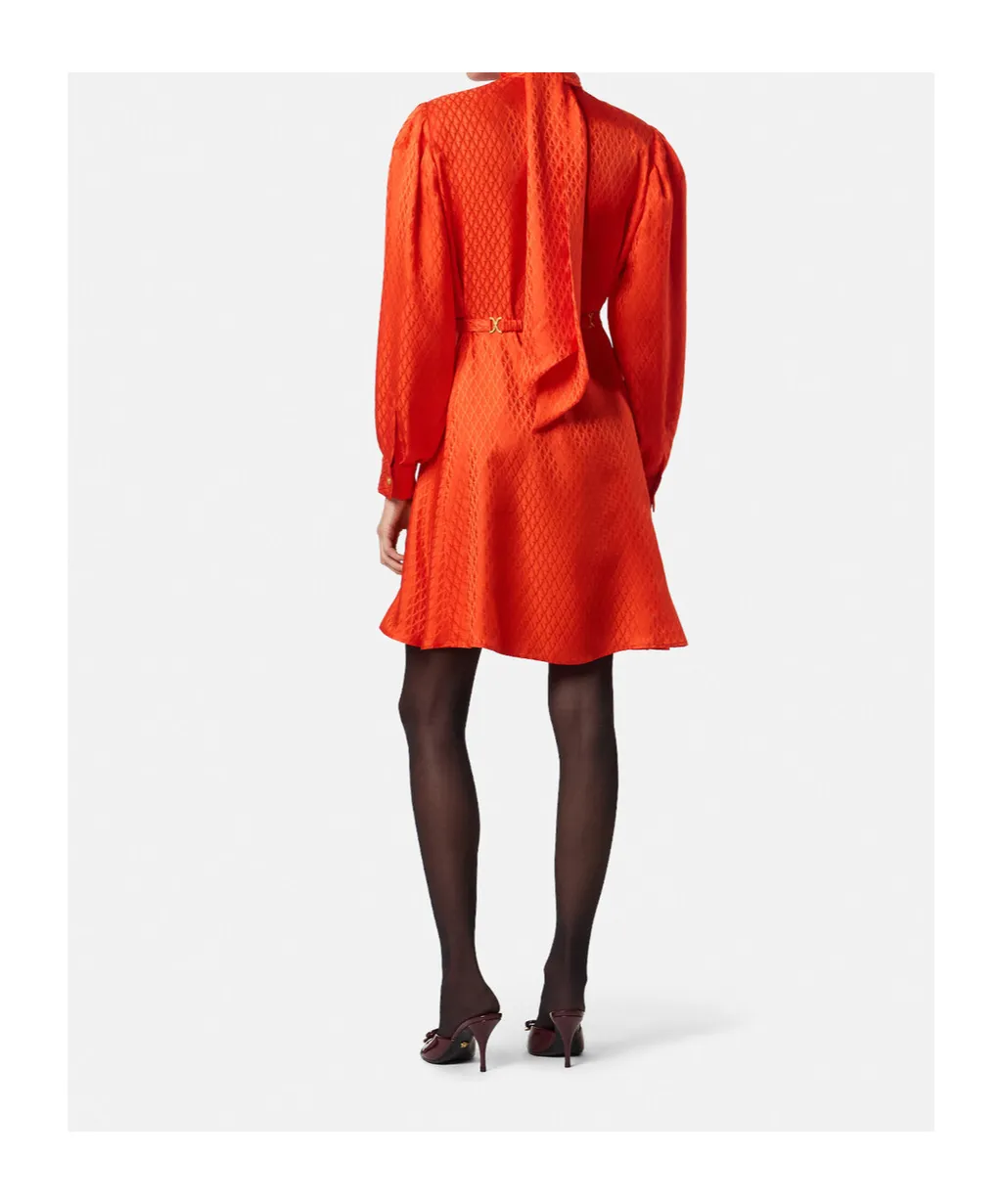 Belted Long-Sleeved Dress