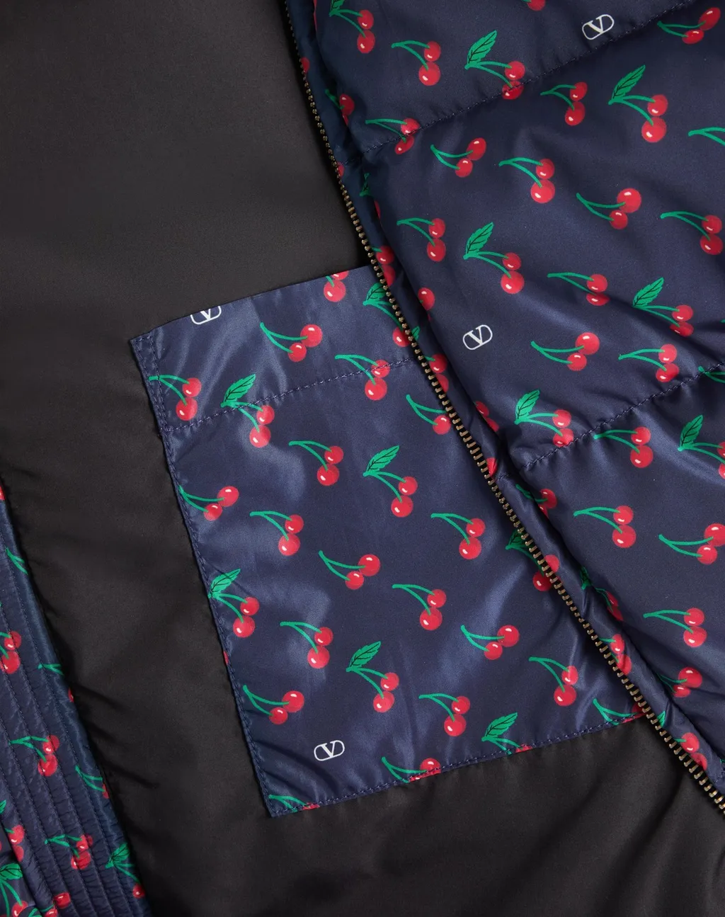 Nylon Hooded Down Jacket With Cherryfic Print