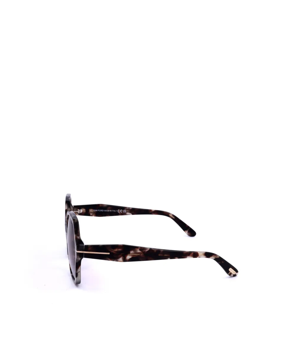 Frame Sunglasses