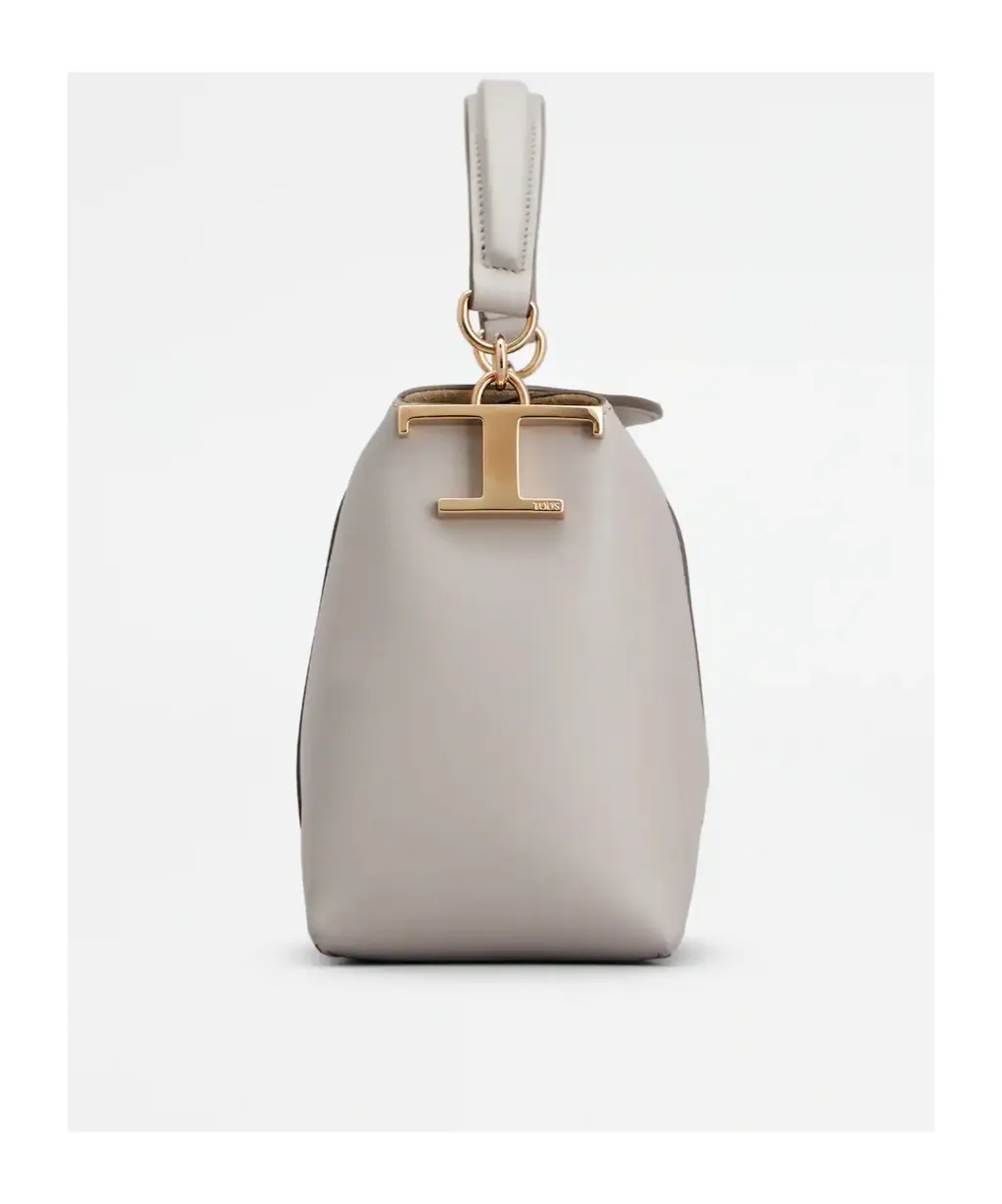 Super Small T Case Mailman Shoulder Bag