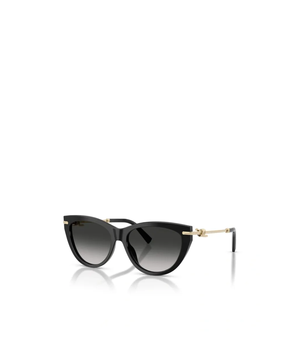 Geometric Frame Sunglasses
