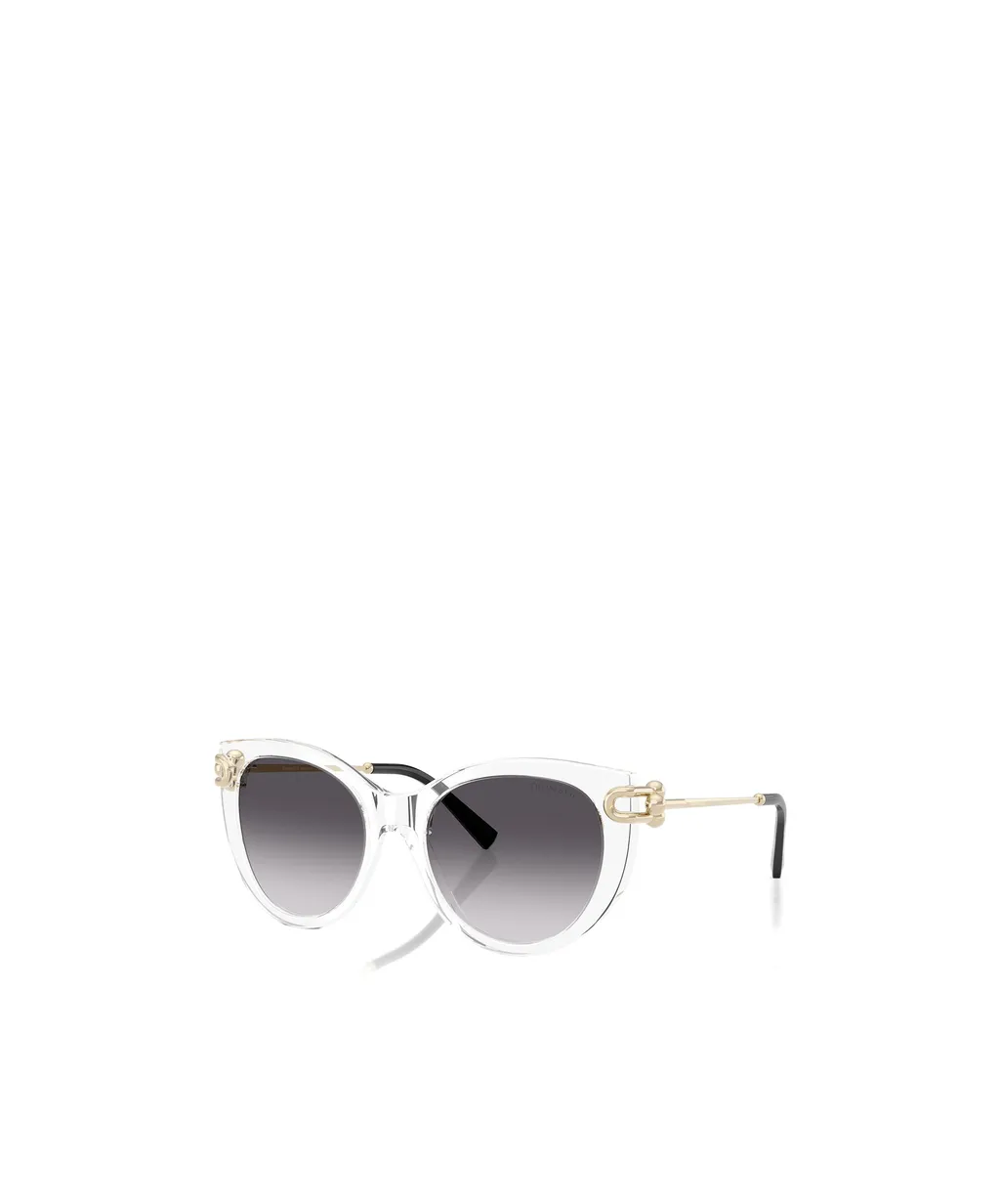 Full Frame Sunglasses