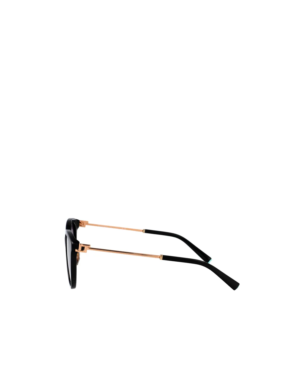 Full Frame Sunglasses