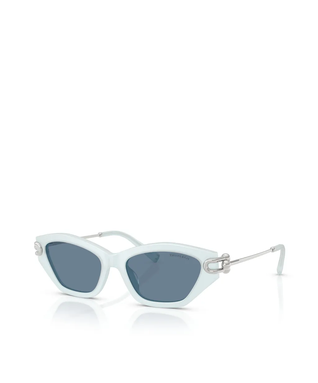 Geometric Sunglasses