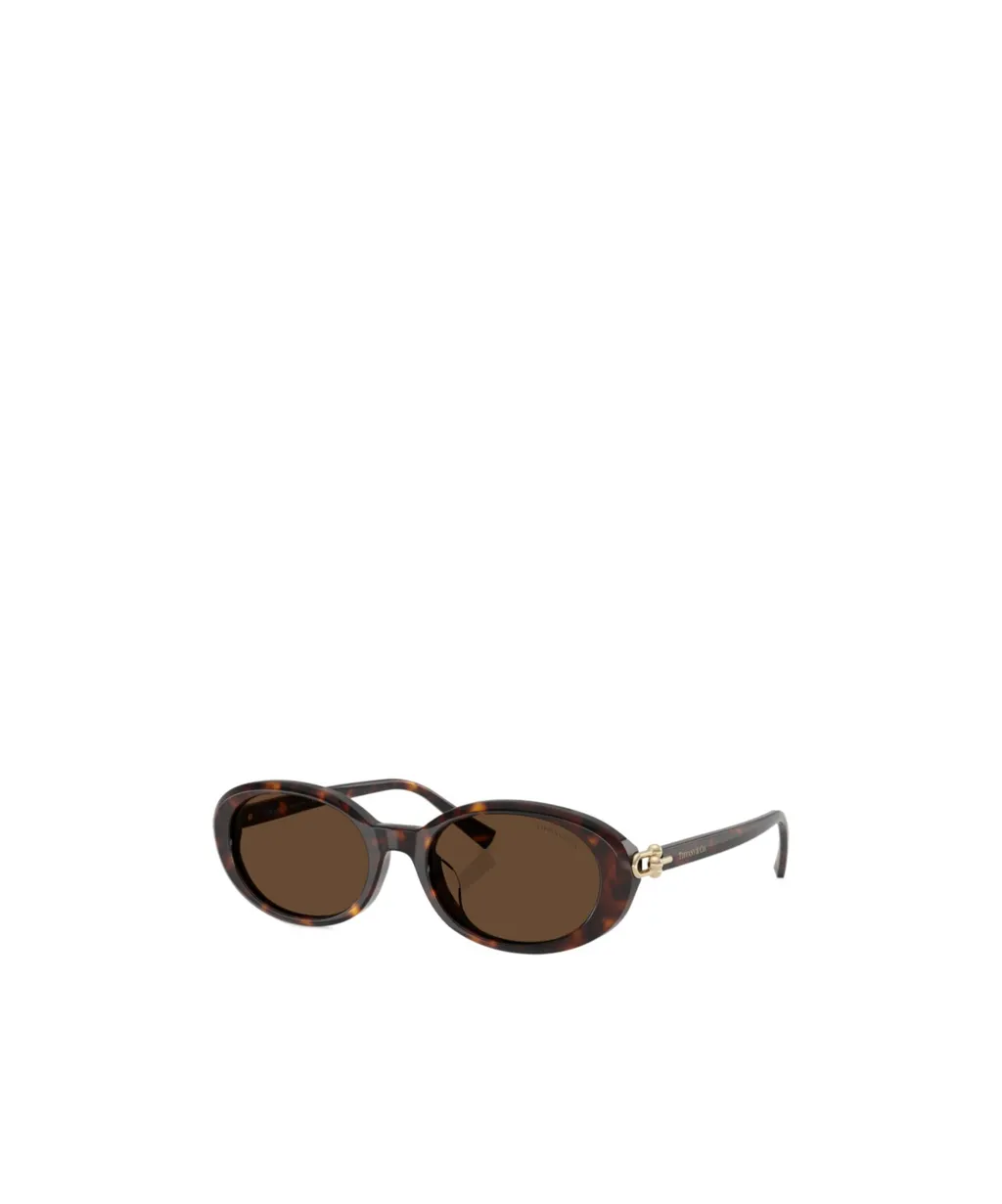 Full Frame Sunglasses