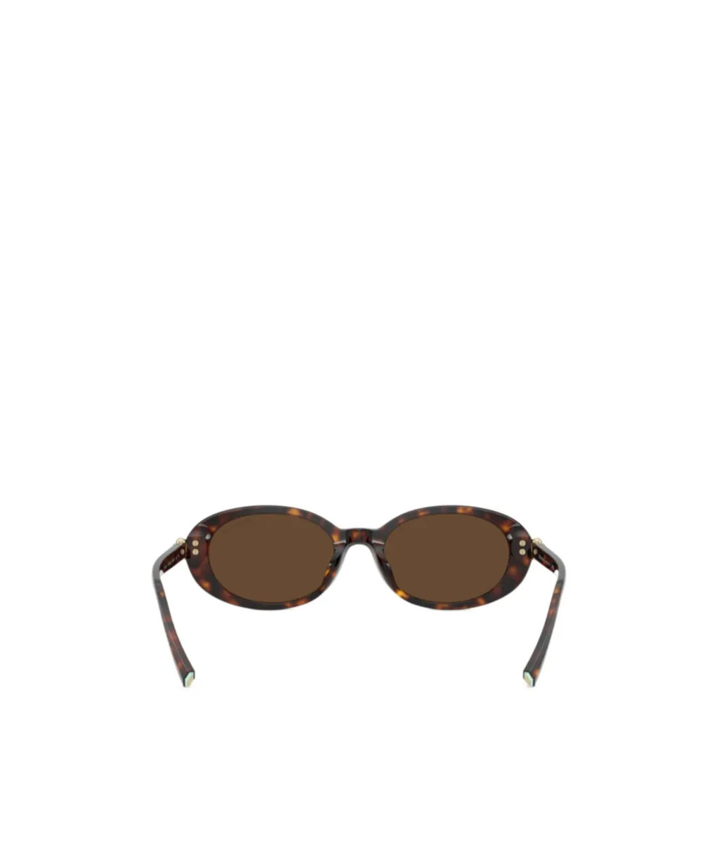 Full Frame Sunglasses