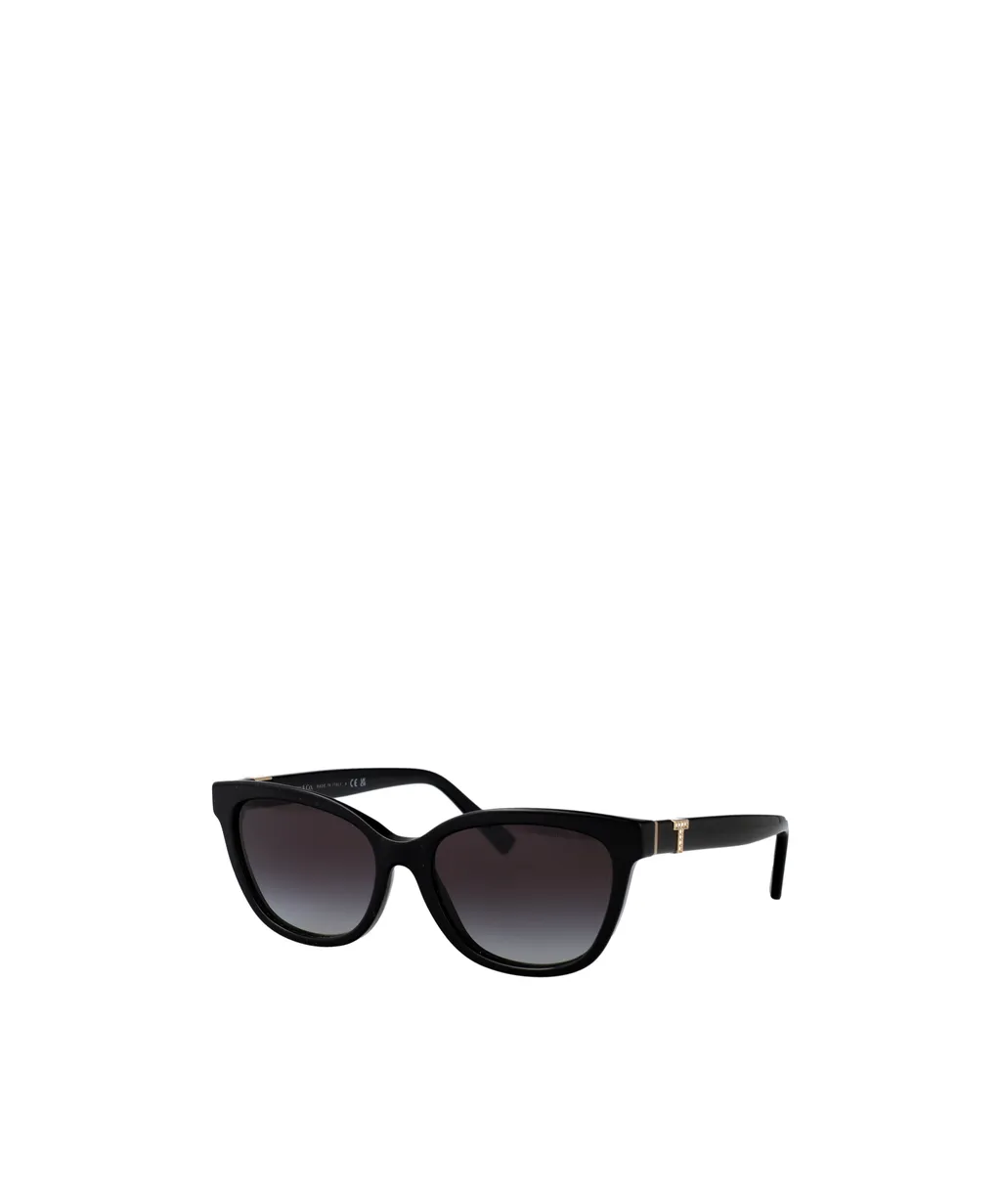 Full Frame Sunglasses