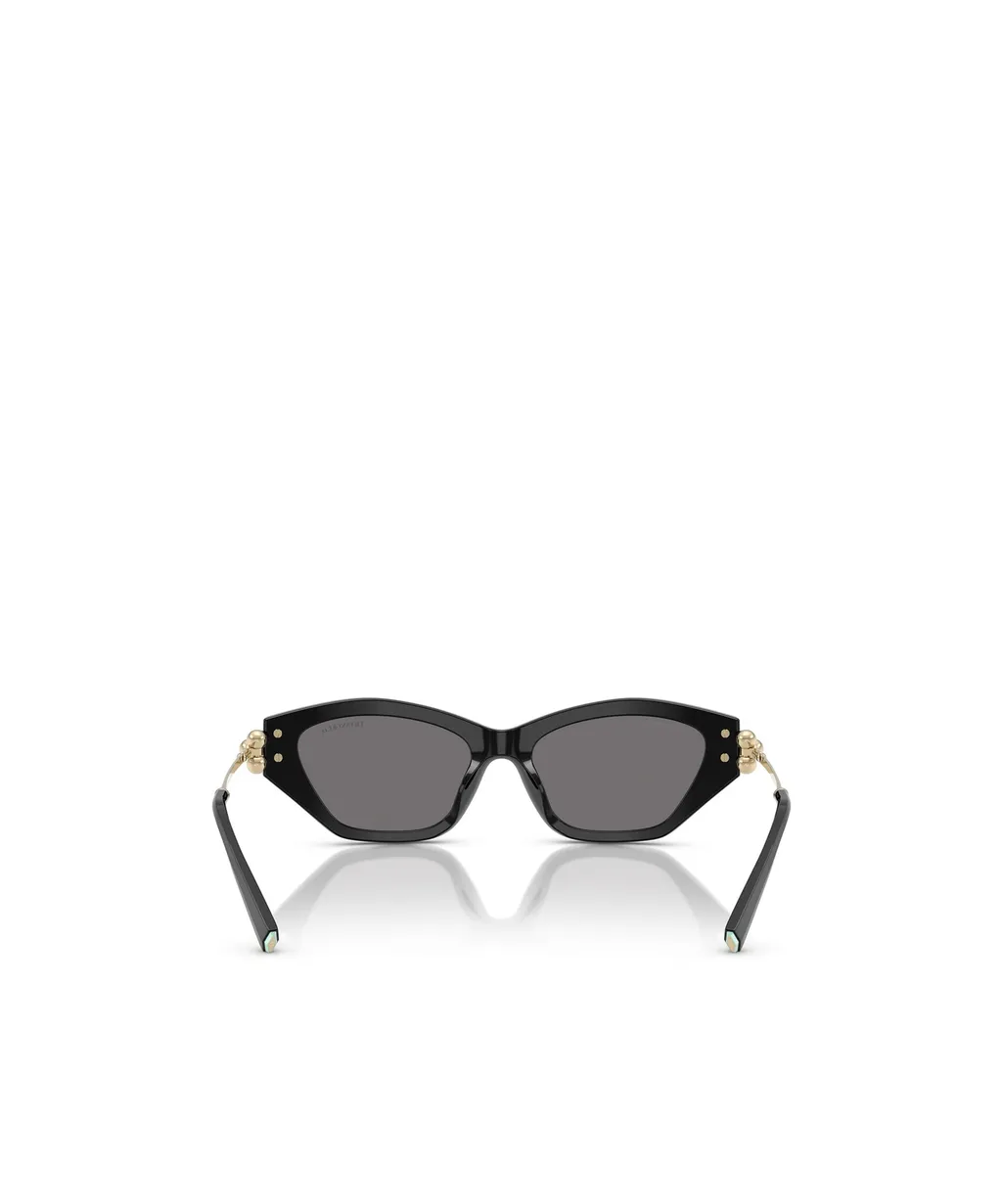 Frame Sunglasses