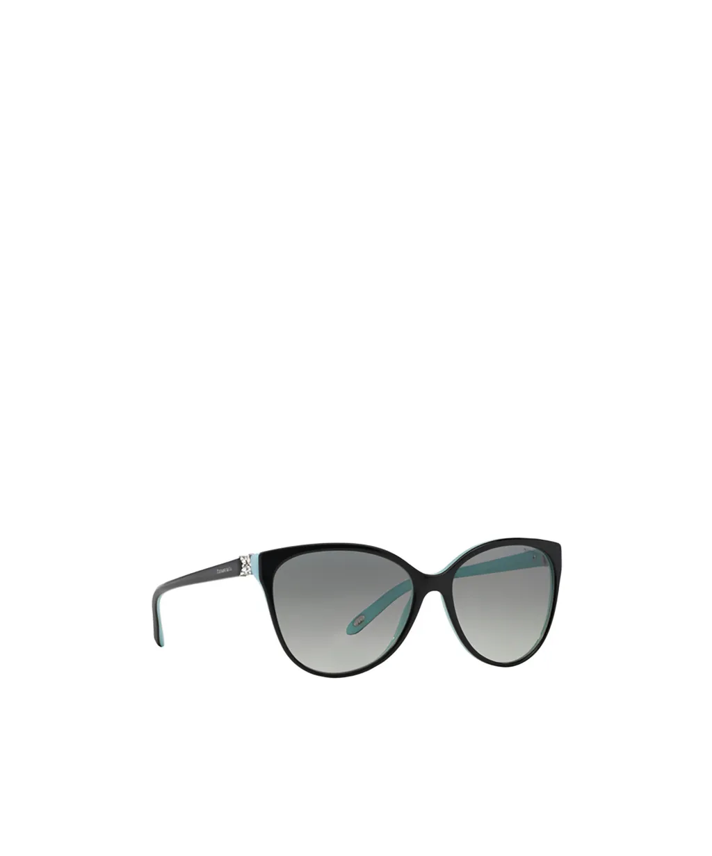 Full Frame Sunglasses