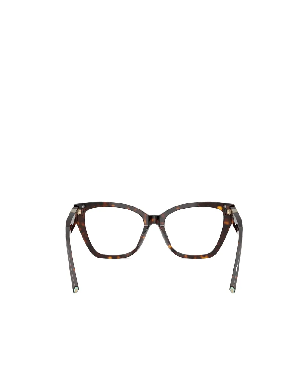 Cat Eye Frame Plain Glasses