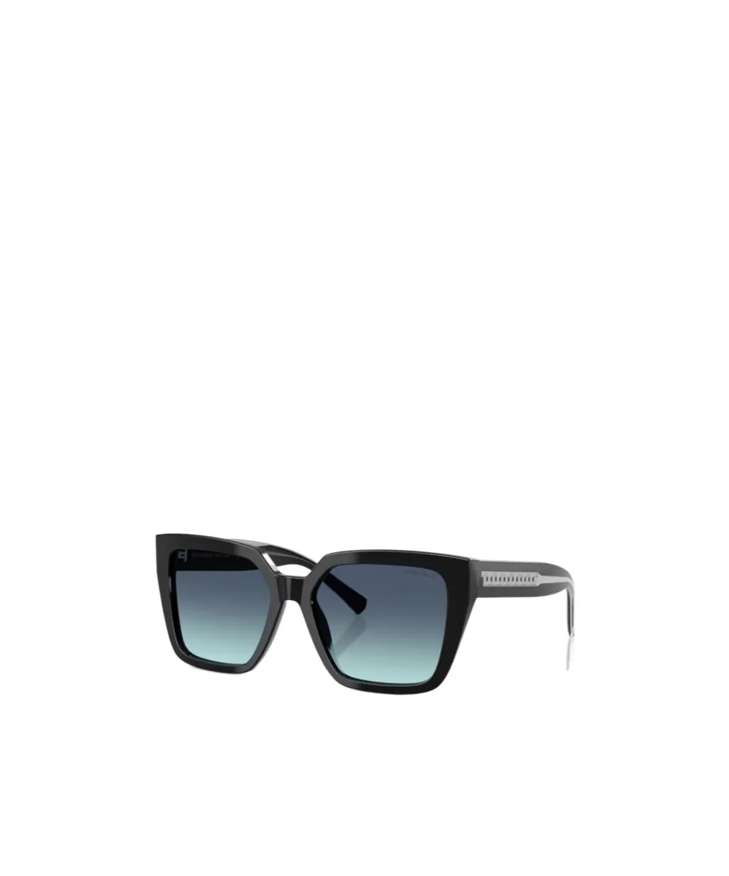 Full Frame Sunglasses