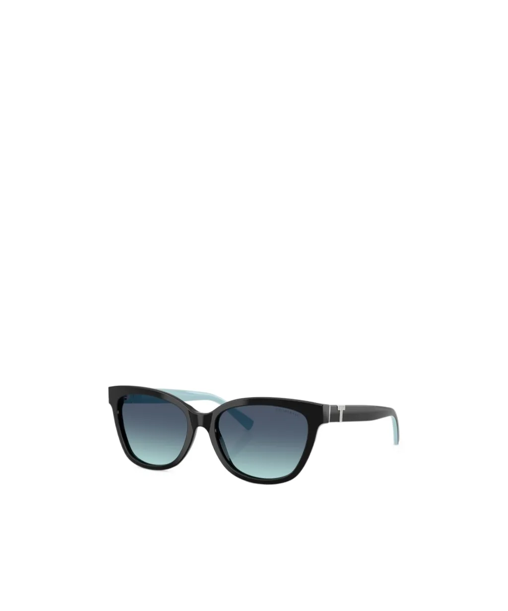 Full Frame Sunglasses