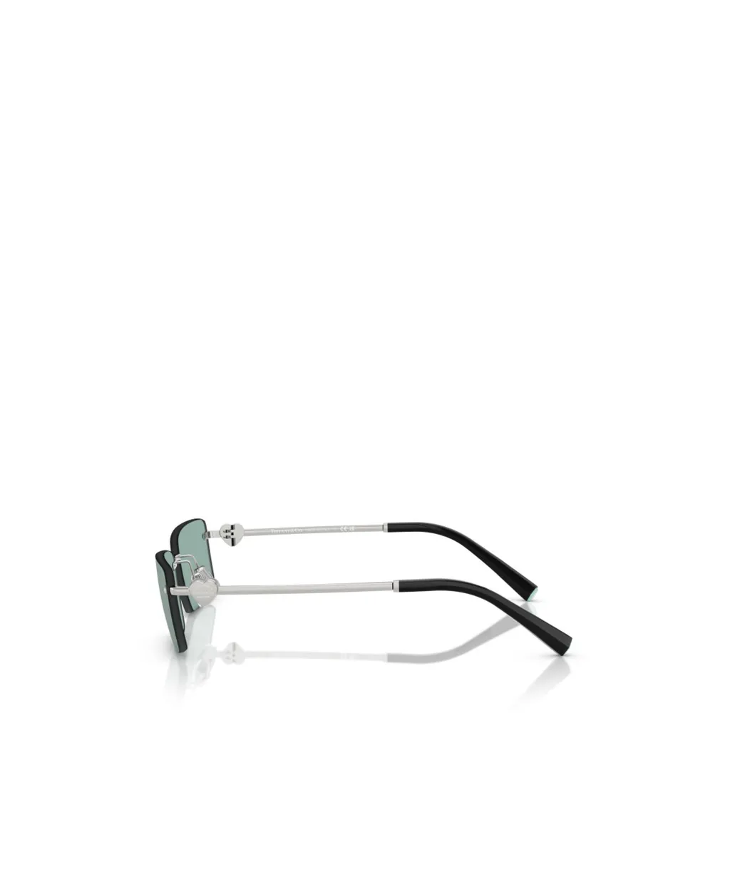 Rectangular Sunglasses