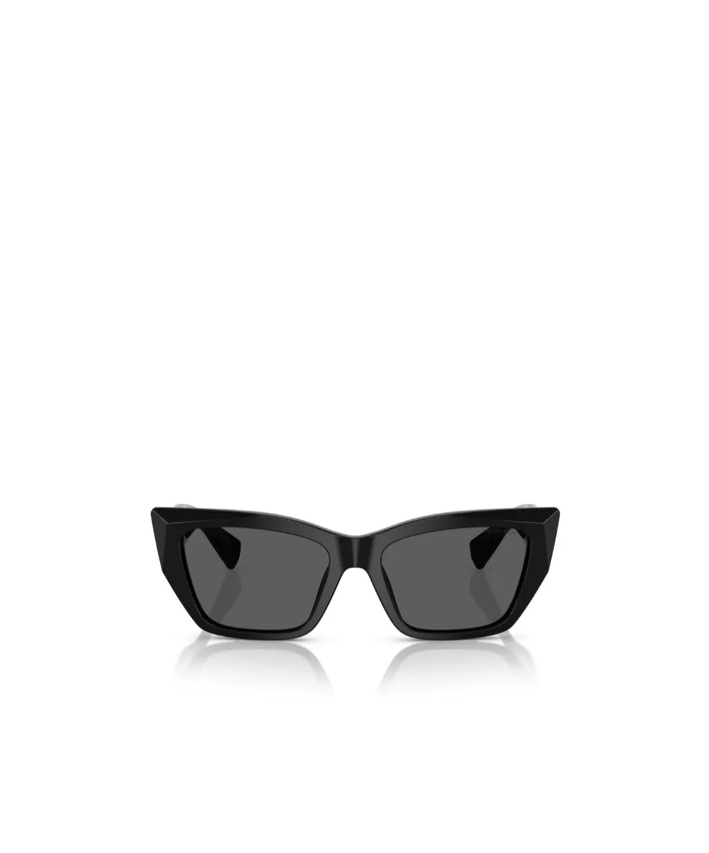 Full Frame Sunglasses
