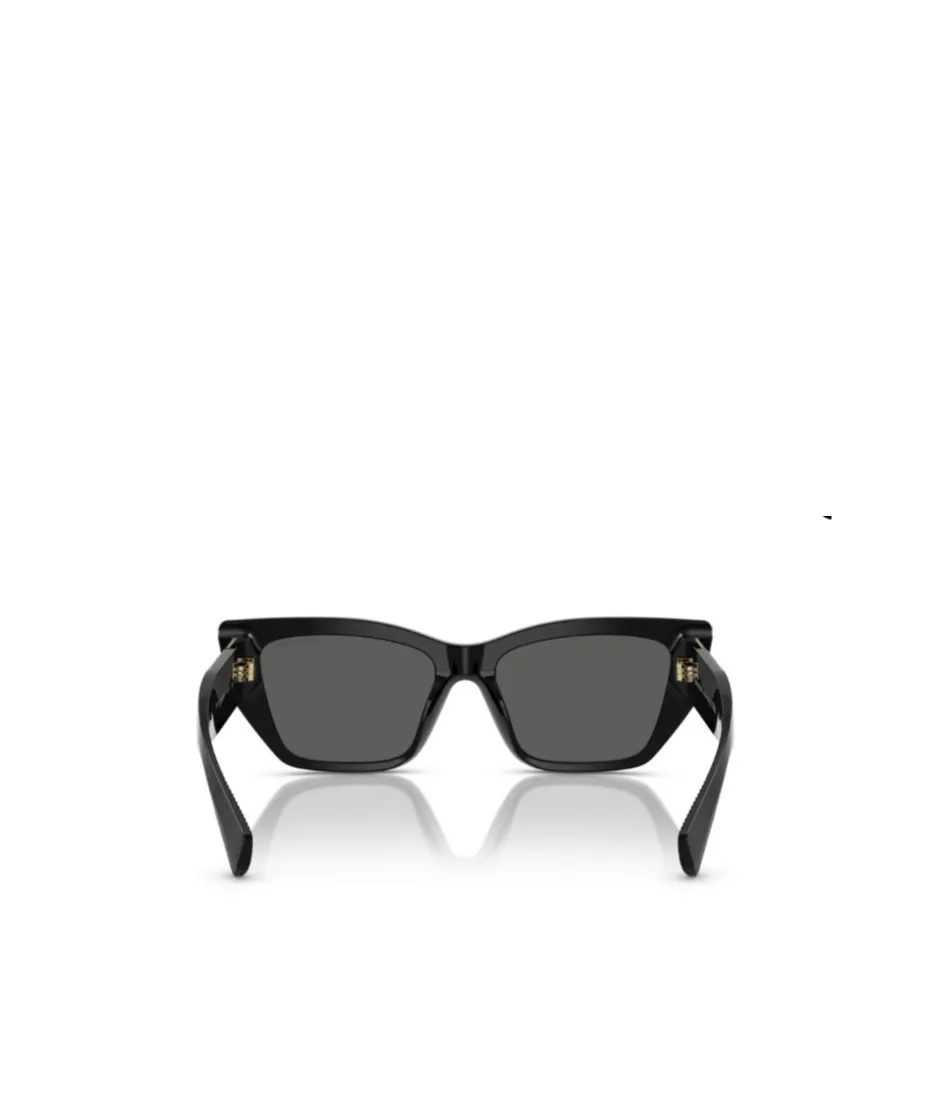 Full Frame Sunglasses