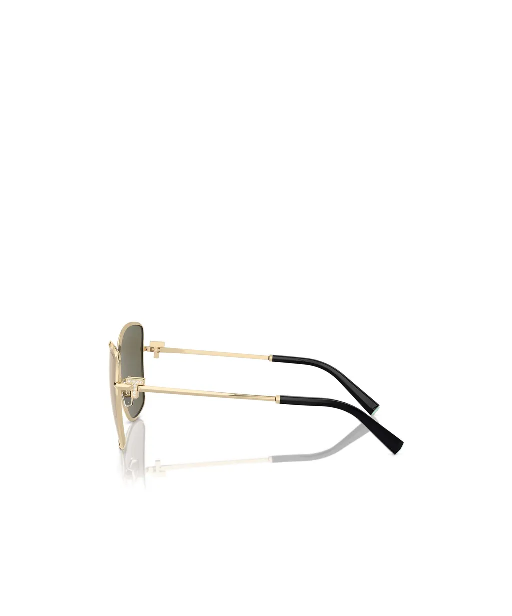 Butterfly Frame Sunglasses
