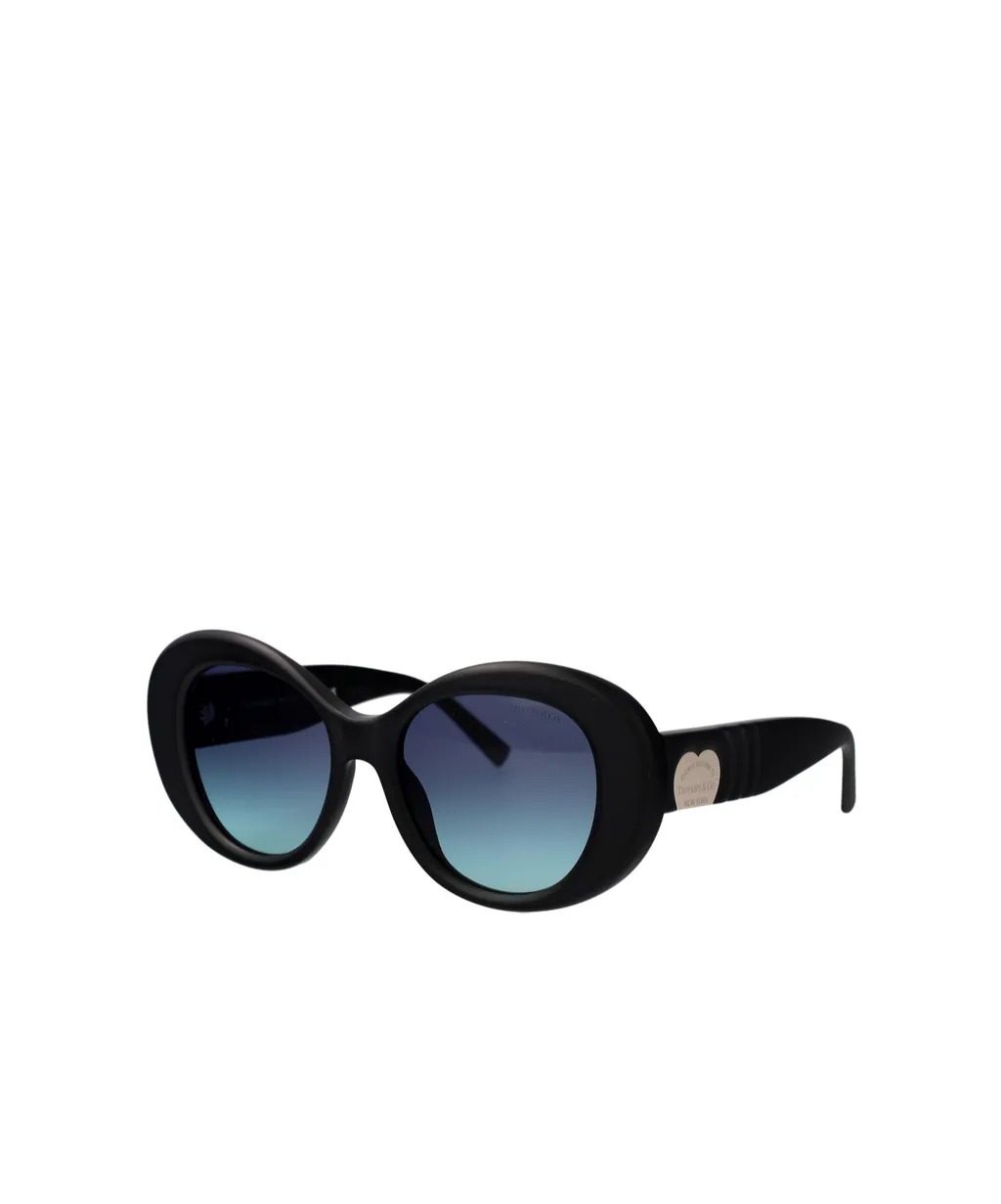 Round Frame Sunglasses