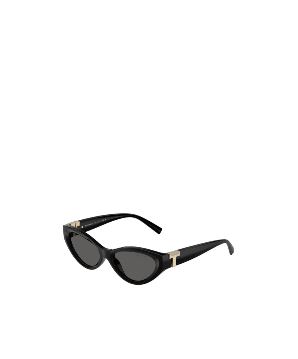 Cat-Eye Frame Sunglasses