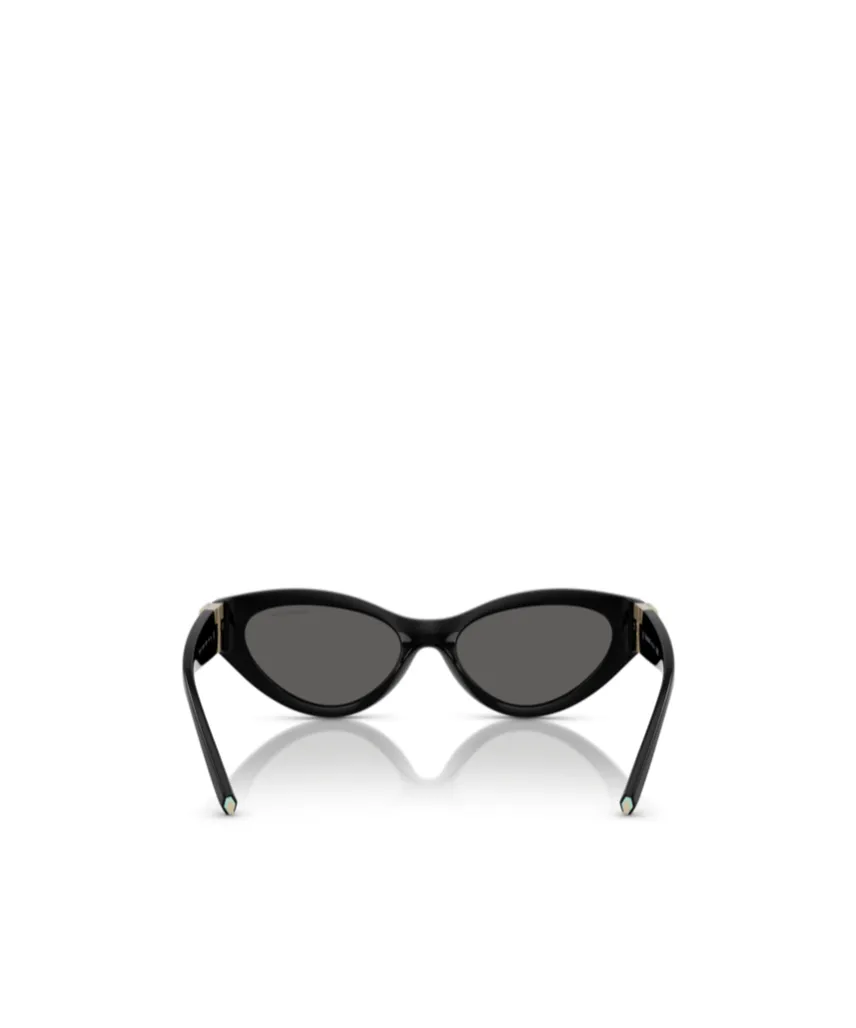 Cat-Eye Frame Sunglasses