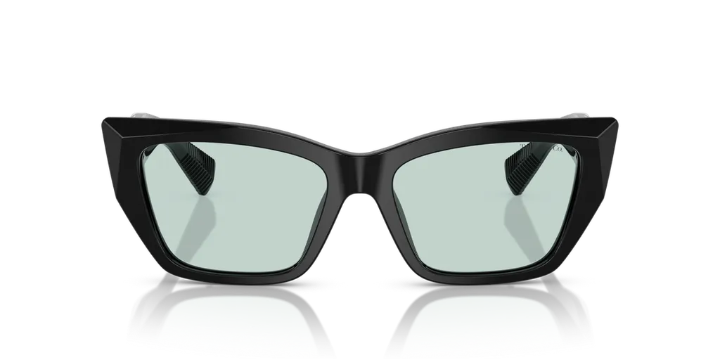 Cat-Eye Frame Sunglasses