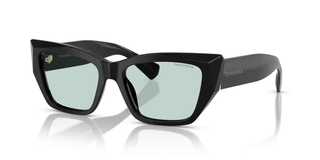 Cat-Eye Frame Sunglasses