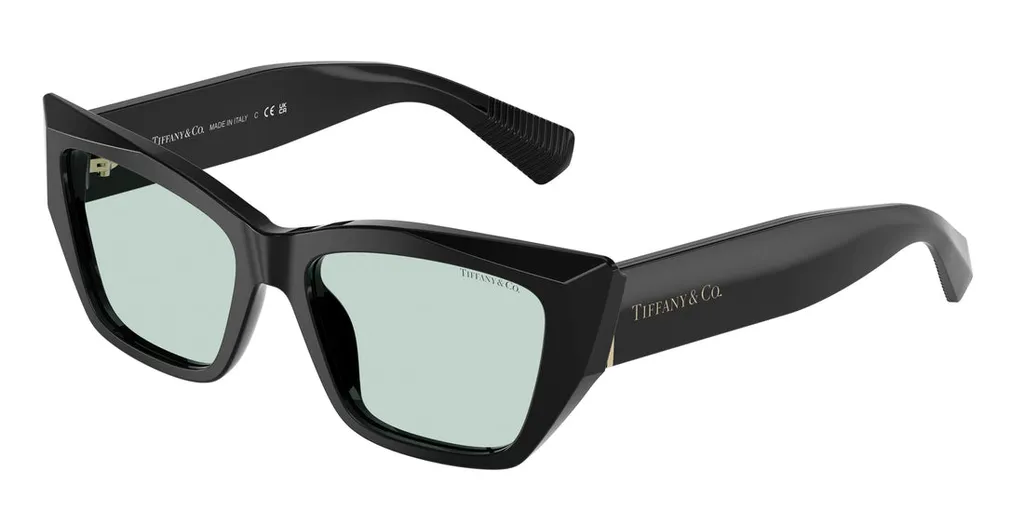 Cat-Eye Frame Sunglasses