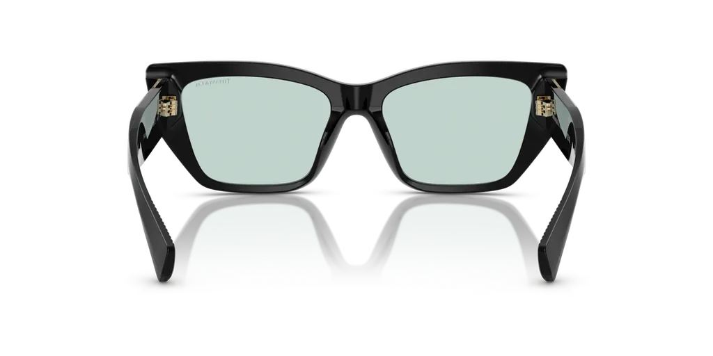 Cat-Eye Frame Sunglasses