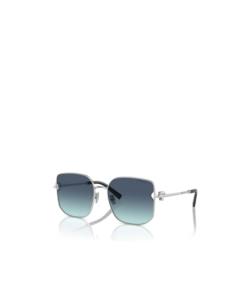 Full-Frame Sunglasses