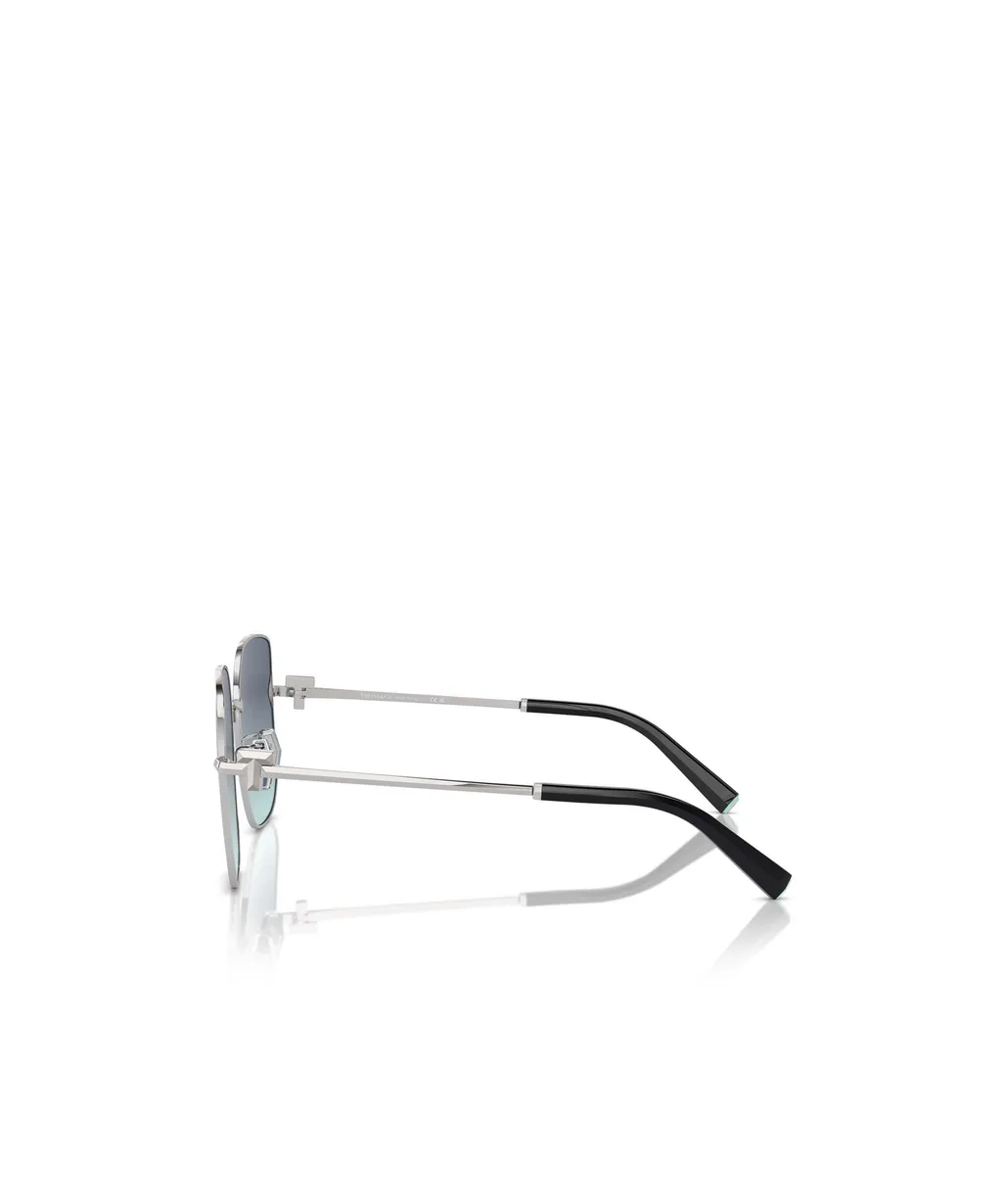Full-Frame Sunglasses