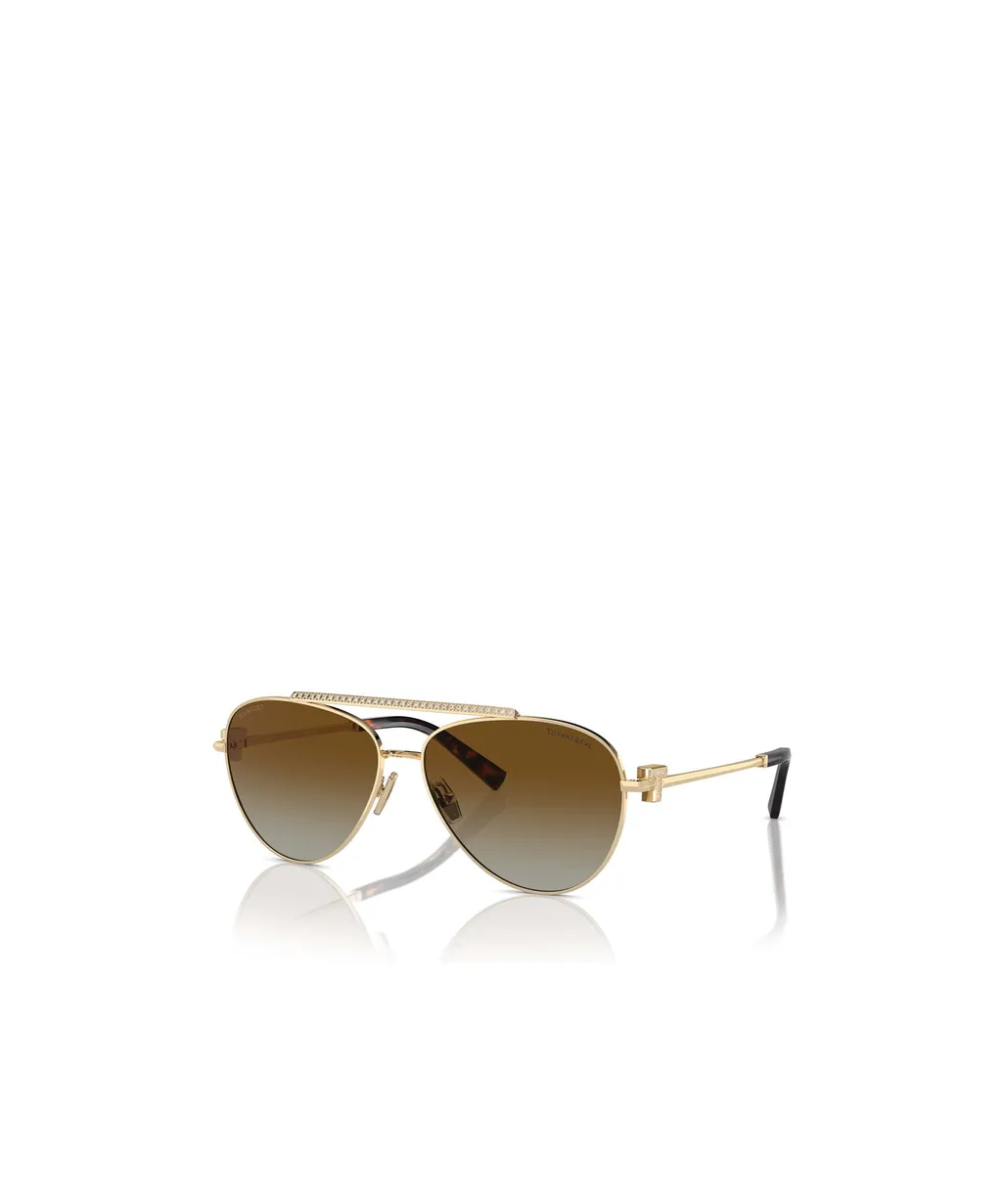 Full Frame Sunglasses