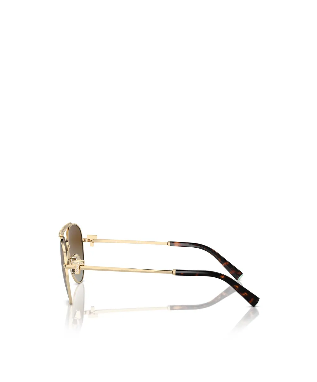 Full Frame Sunglasses