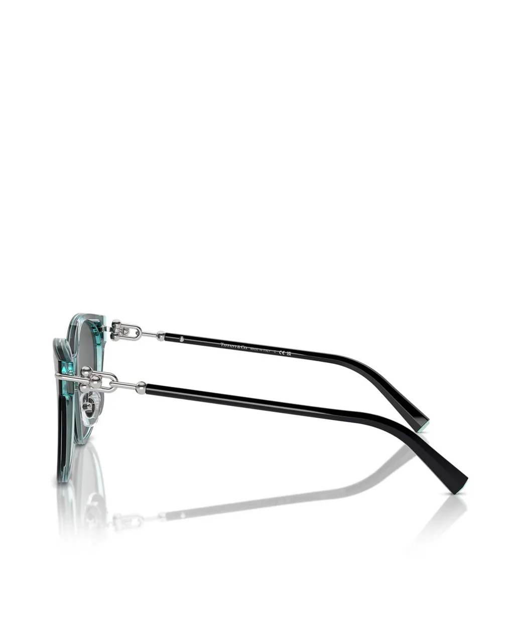 Full Frame Sunglasses