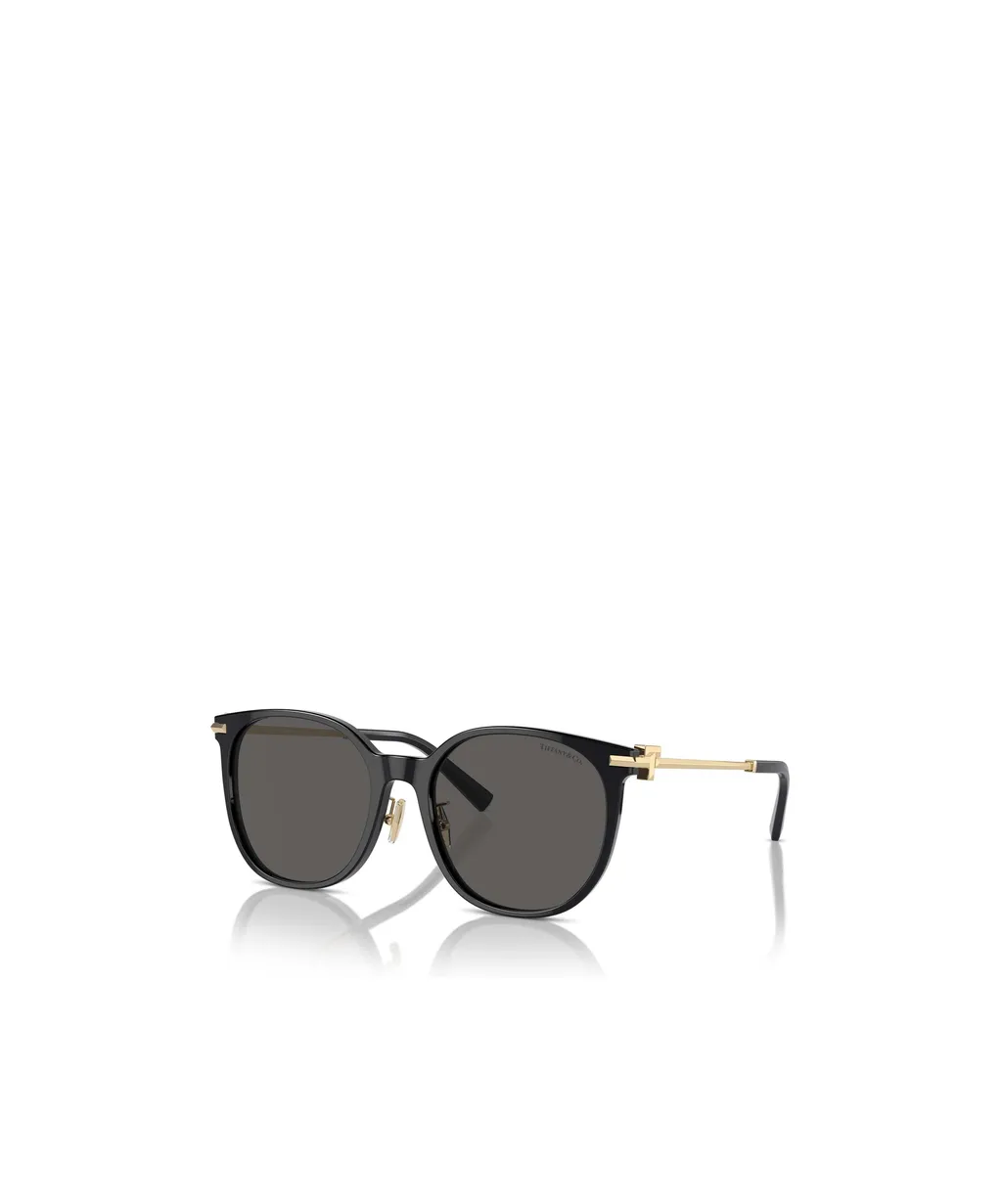 Full Frame Sunglasses