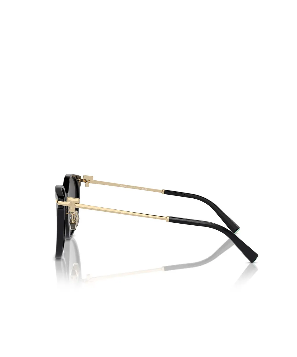 Full Frame Sunglasses