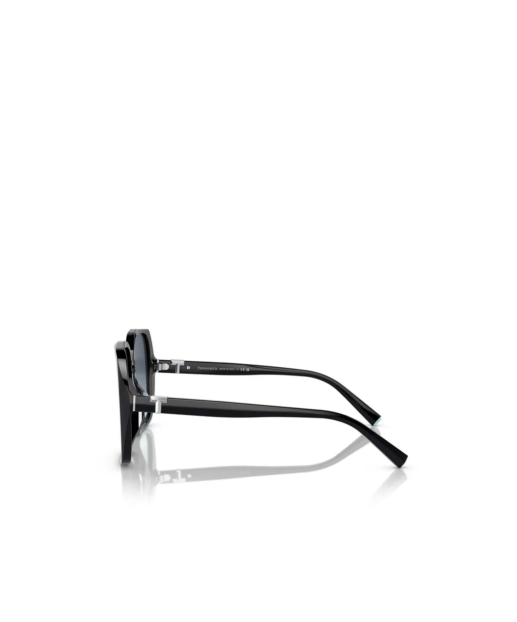 Full Frame Sunglasses