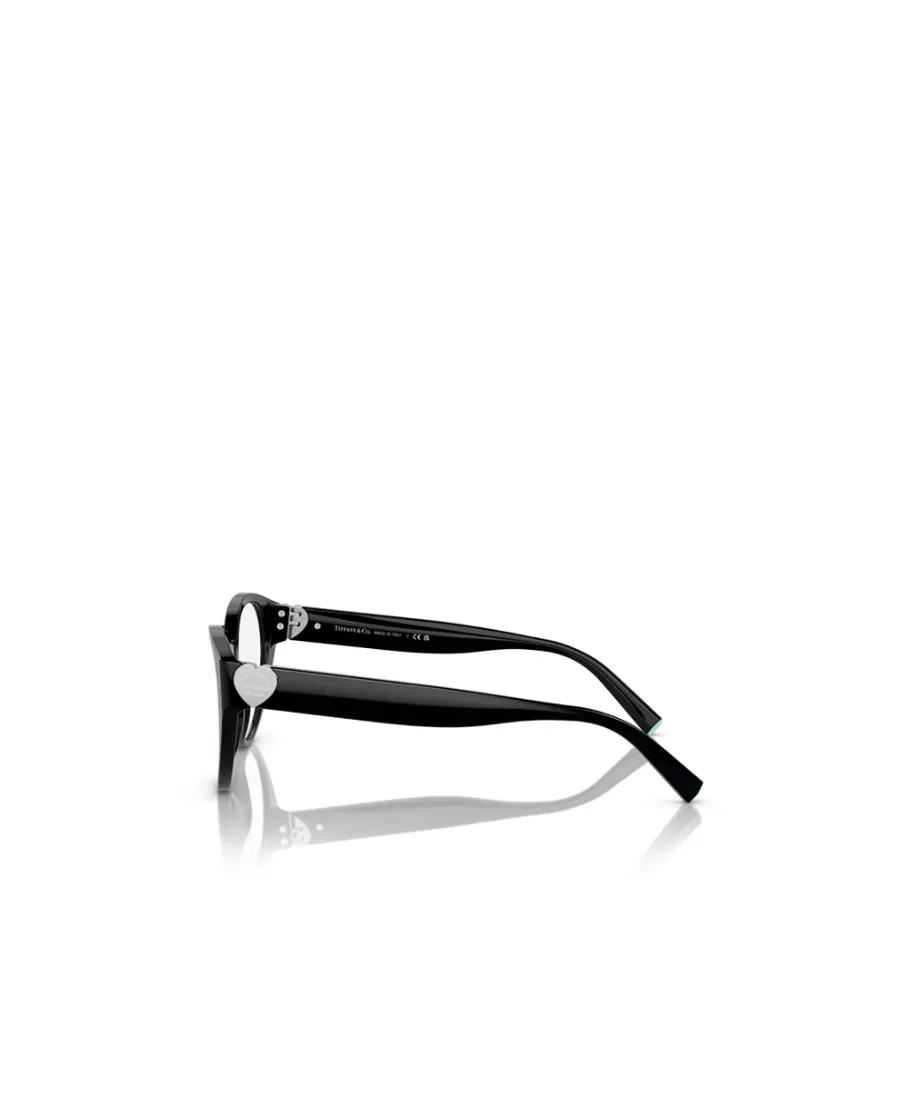 Cat Eye Eyeglasses