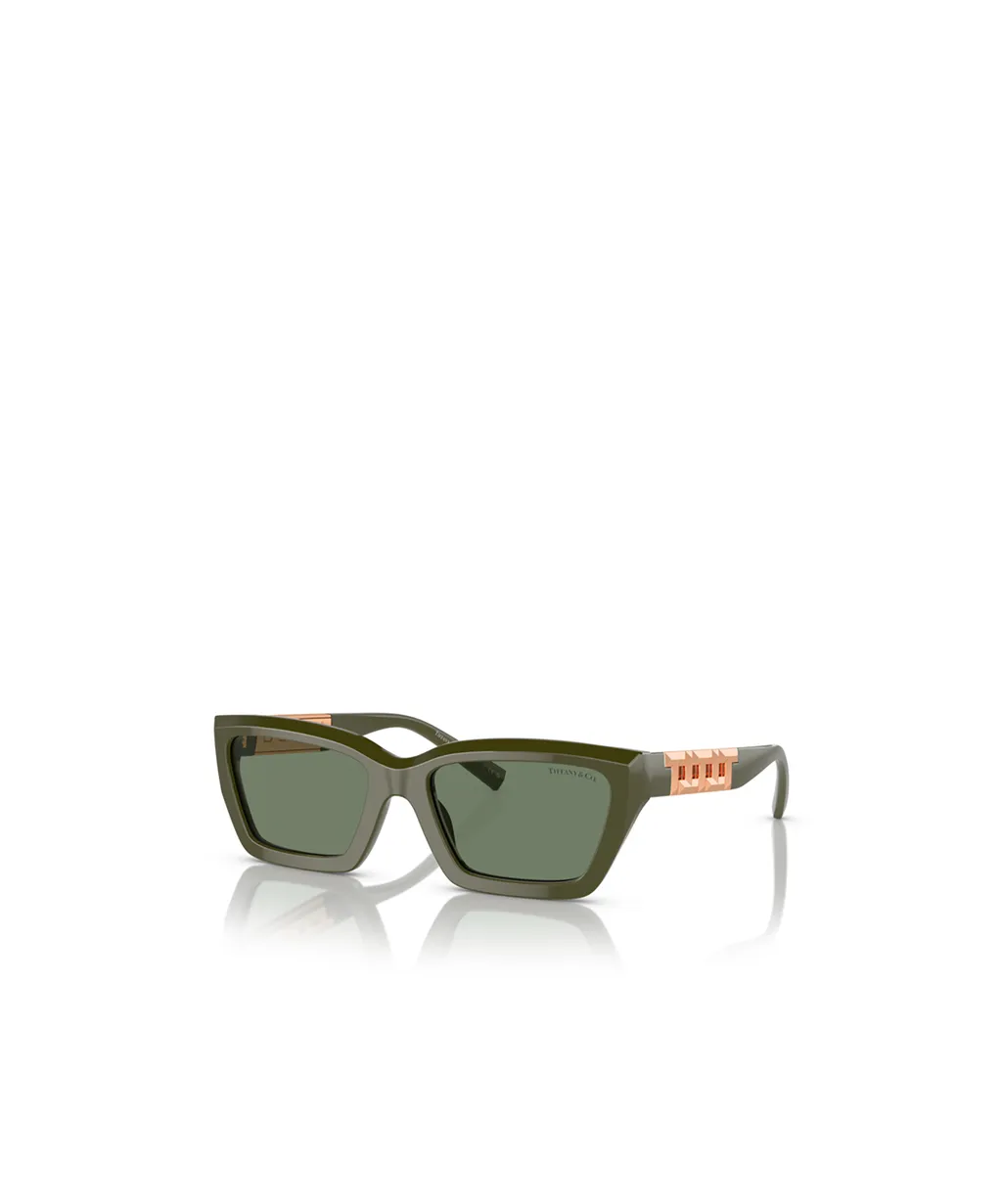 Rectangular Sunglasses