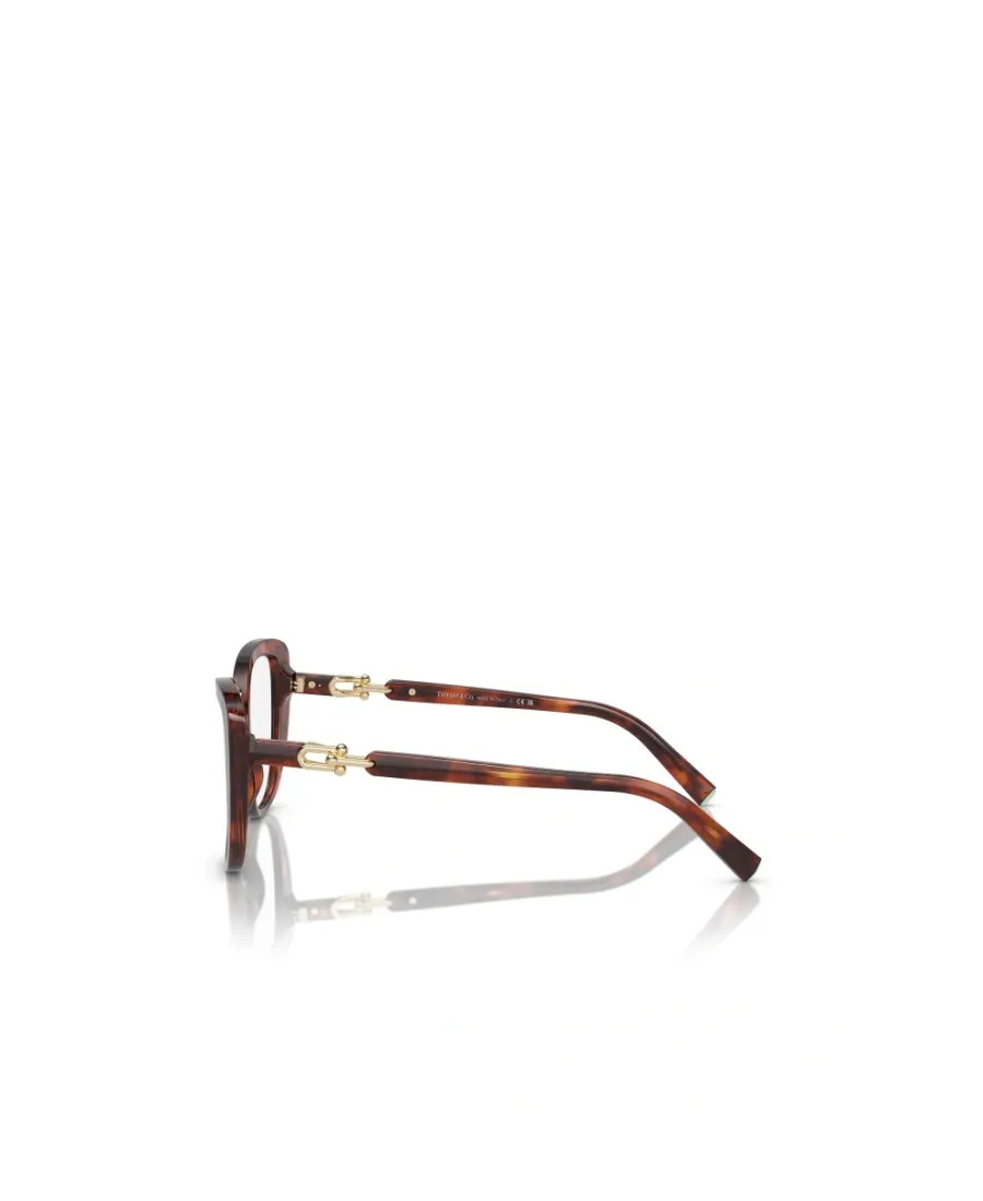 Cat Glasses Frame