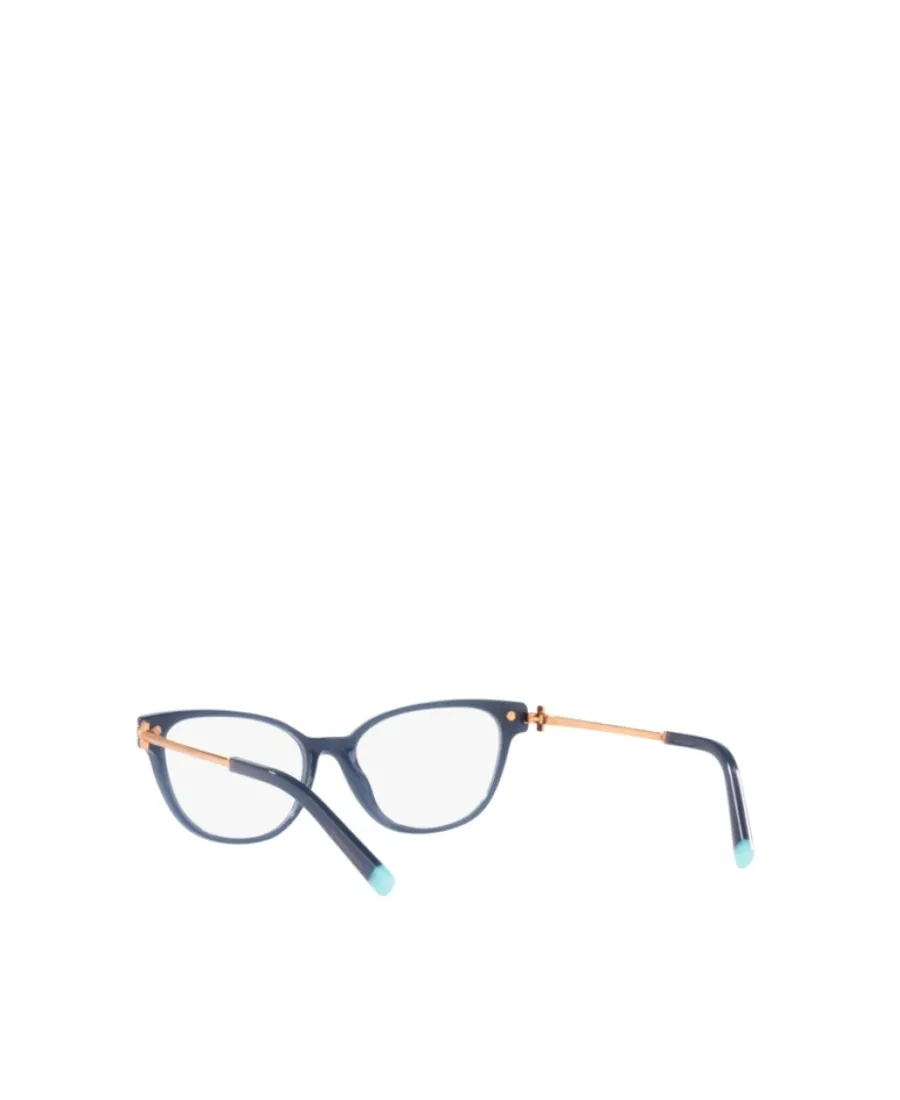 Cat-Eye Frame Glasses