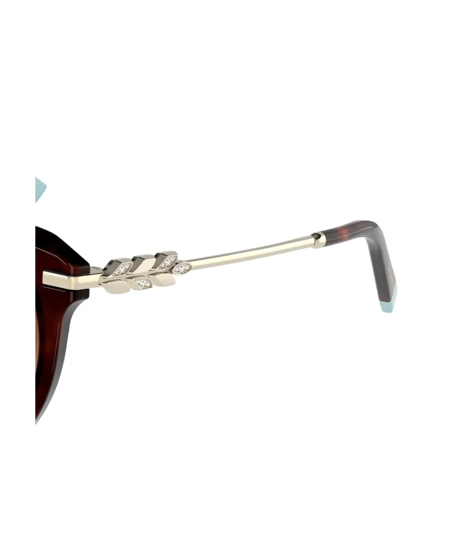 Cat's Eye Sunglasses