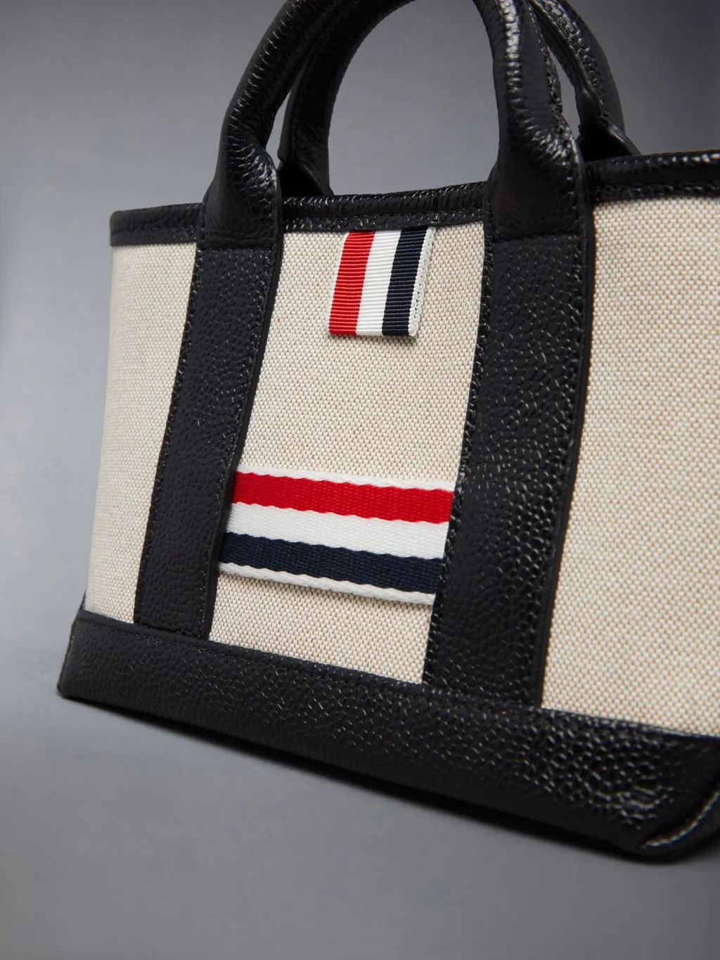 Rwb Striped Mini Tote Bag