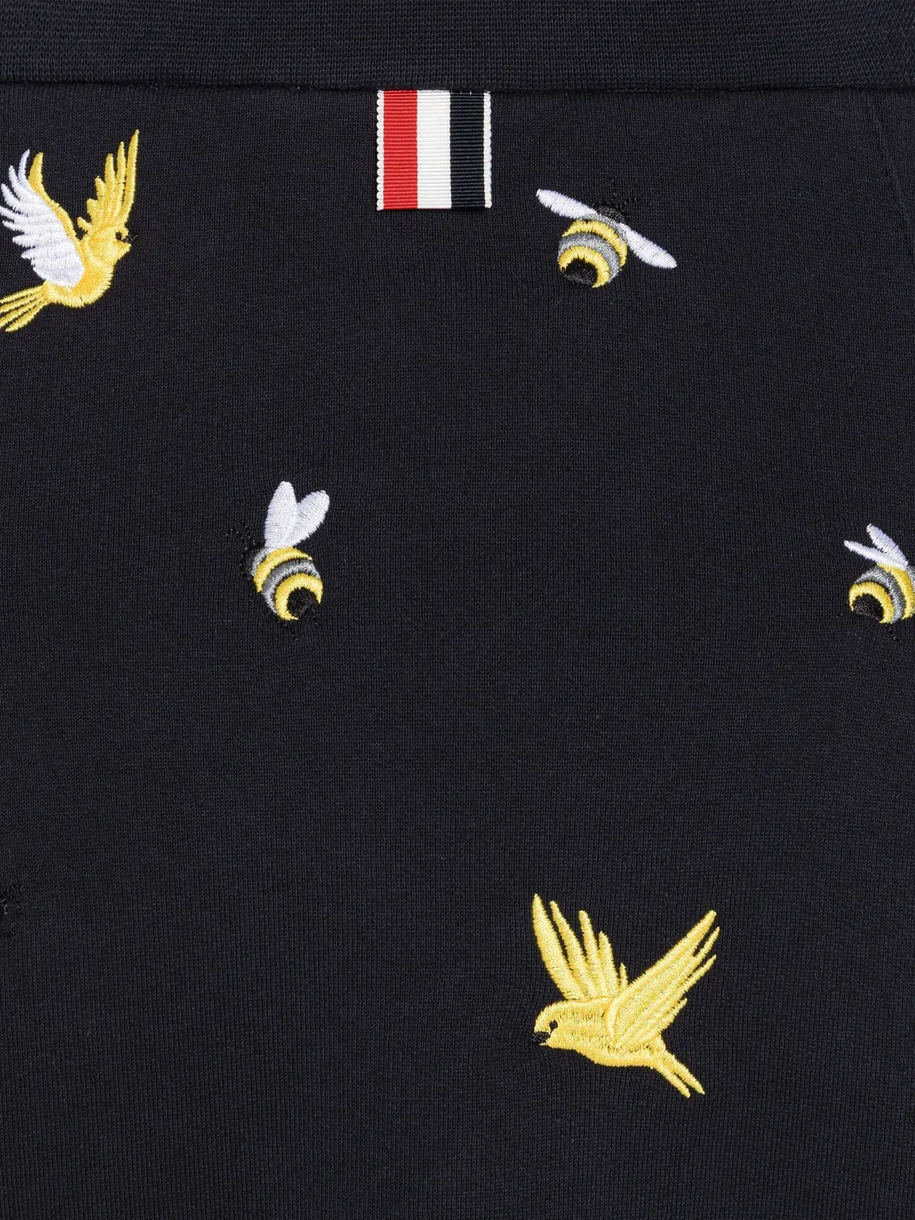 Embroidered A-Line Mini Skirt