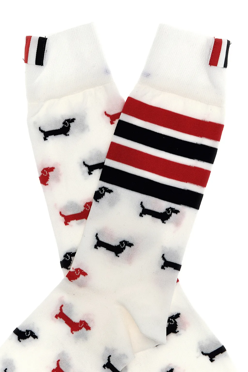 4-Bar Hector Socks