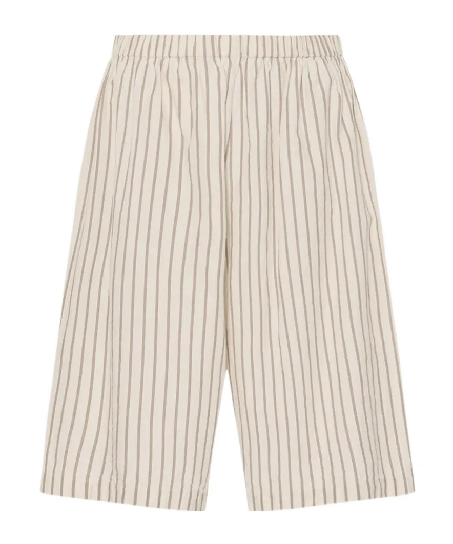 Elastic Waist Shorts