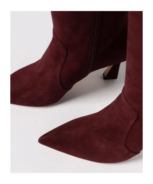 Pointed-Toe Boots